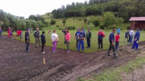 13957660_935355726576614_883747251_n