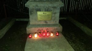 14907860_1230760406999418_1836318753_o